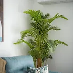 Apartament Verano