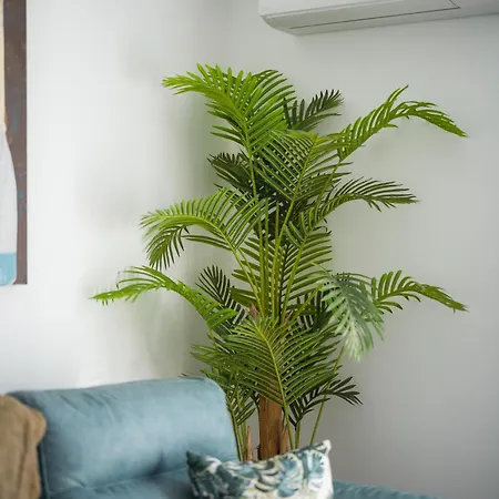 Appartement Verano